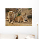 Angola Lion Wall Mural
