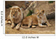 Angola Lion Wall Mural
