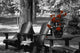 Garden Chairs With Red Flowers In A Pot Wall Mural