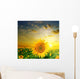 Yellow Sunflowers on a Background Beautiful Sunset Wall Mural