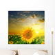 Yellow Sunflowers on a Background Beautiful Sunset Wall Mural