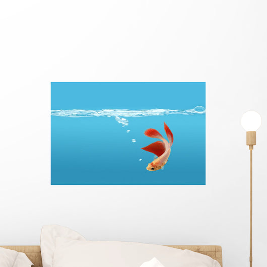 Siamese Fighting Fish Wall Mural