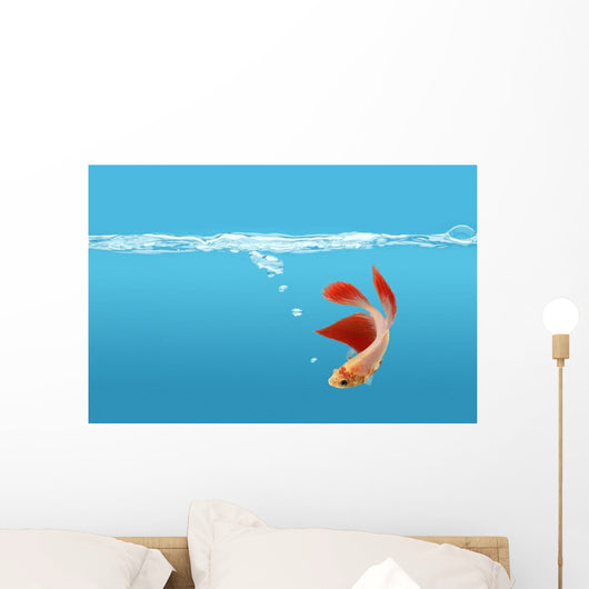 Siamese Fighting Fish Wall Mural