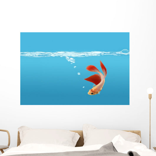 Siamese Fighting Fish Wall Mural