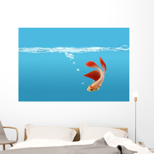 Siamese Fighting Fish Wall Mural