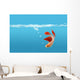 Siamese Fighting Fish Wall Mural