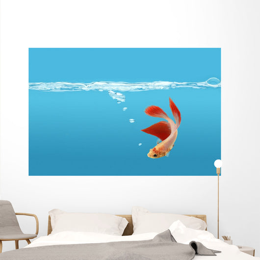 Siamese Fighting Fish Wall Mural