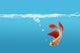Siamese Fighting Fish Wall Mural