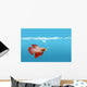 Fighting Fish Under Water Wall Mural
