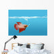 Fighting Fish Under Water Wall Mural