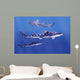 Leopard Sharks Wall Mural