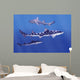 Leopard Sharks Wall Mural