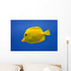 Yellow Fish Wall Mural
