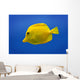 Yellow Fish Wall Mural