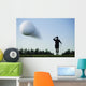 Golf Ball In Flight Wall Mural
