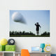 Golf Ball In Flight Wall Mural
