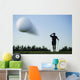 Golf Ball In Flight Wall Mural