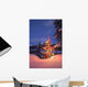Christmas Tree Outdoors At Night Wall Mural
