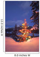 Christmas Tree Outdoors At Night Wall Mural