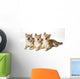 Three Shiba Inu Dogs Wall Mural