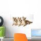 Three Shiba Inu Dogs Wall Mural