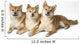 Three Shiba Inu Dogs Wall Mural