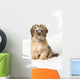 Cute Miniature Terrier Wall Mural