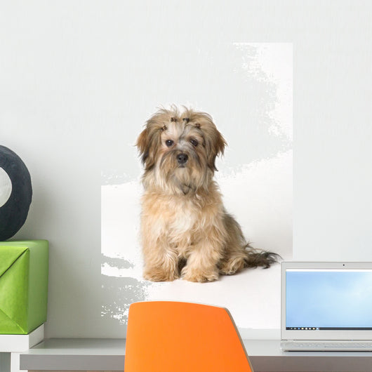 Cute Miniature Terrier Wall Mural