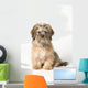 Cute Miniature Terrier Wall Mural