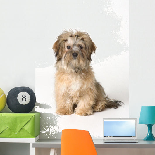 Cute Miniature Terrier Wall Mural