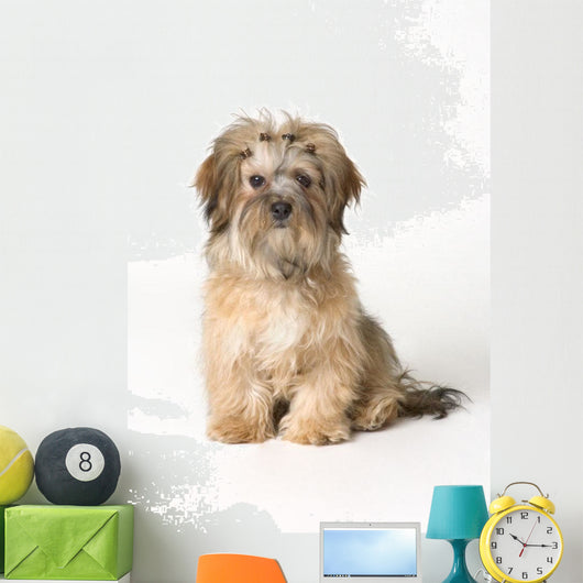 Cute Miniature Terrier Wall Mural