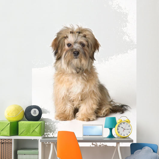 Cute Miniature Terrier Wall Mural