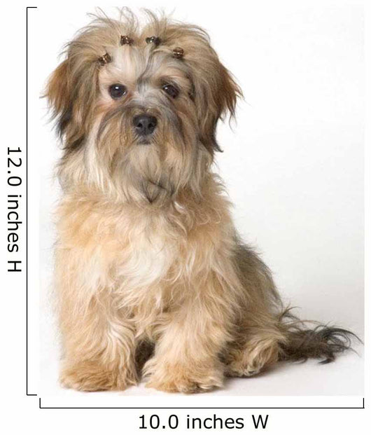 Cute Miniature Terrier Wall Mural