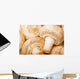 Close Up Of White Mushrooms Wall Mural