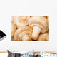 Close Up Of White Mushrooms Wall Mural
