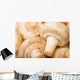 Close Up Of White Mushrooms Wall Mural
