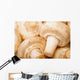 Close Up Of White Mushrooms Wall Mural