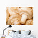 Up White Mushrooms Wall Mural
