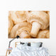 Close Up Of White Mushrooms Wall Mural