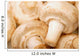 Close Up Of White Mushrooms Wall Mural