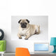 Portrait Of A Pug Dog Wall Mural