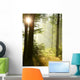 Sunlight Falls into Misty Wall Decal Design 2
