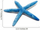 Starfish, seashell Wall Decal