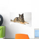 Portrait Of A German Shepherd Dog Wall Mural