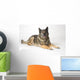 Portrait Of A German Shepherd Dog Wall Mural