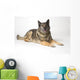 Portrait Of A German Shepherd Dog Wall Mural