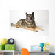 Portrait Of A German Shepherd Dog Wall Mural