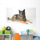 Portrait Of A German Shepherd Dog Wall Mural
