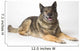 Portrait Of A German Shepherd Dog Wall Mural