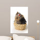 Yorkshire Terrier Puppy Wall Decal